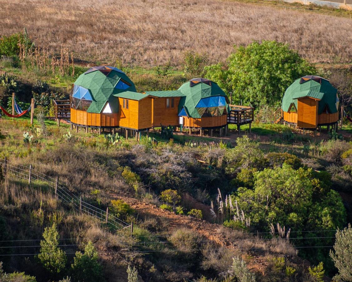 Los Nopales Glamping Sáchica Eksteriør bilde